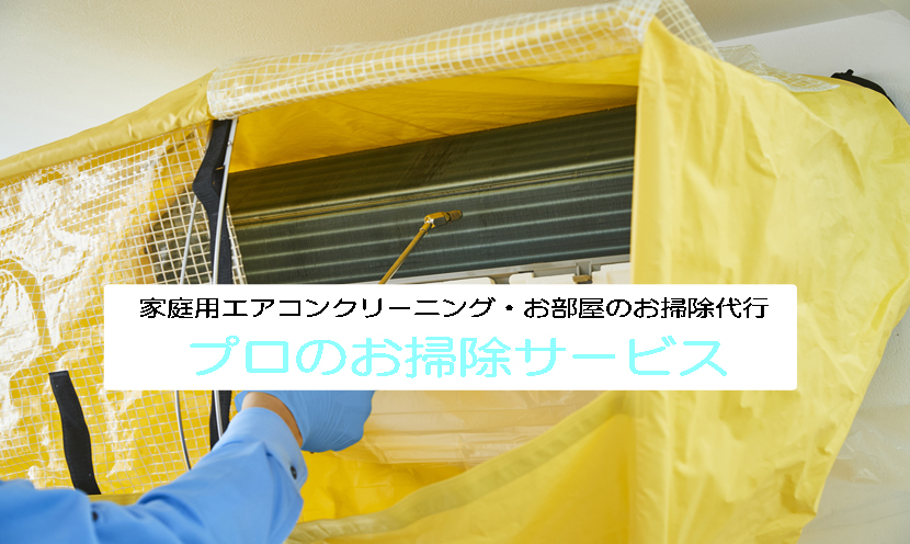 プロのお掃除サービス（ご家庭向け）