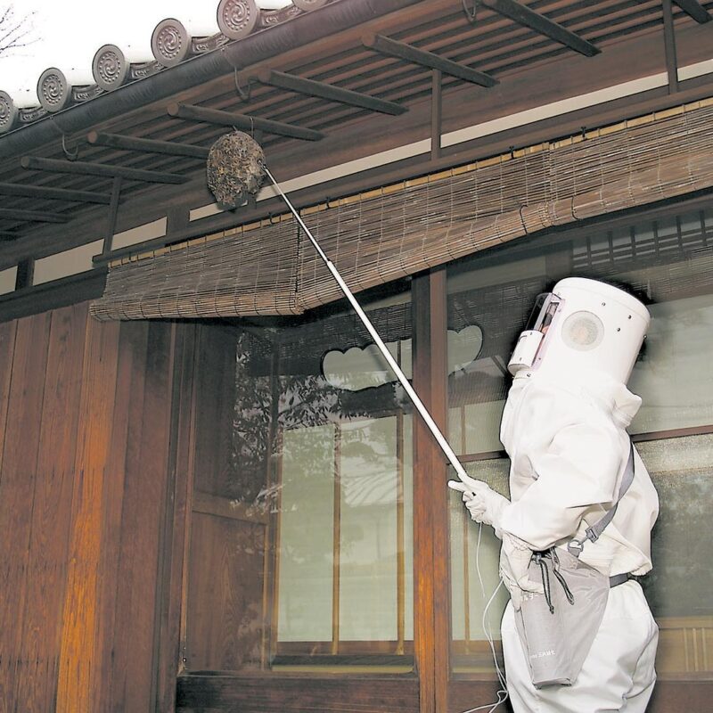 ハチ駆除サービス