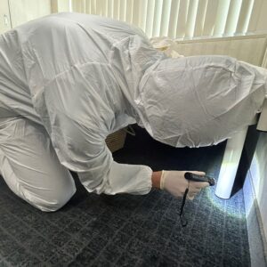 トコジラミ駆除サービス